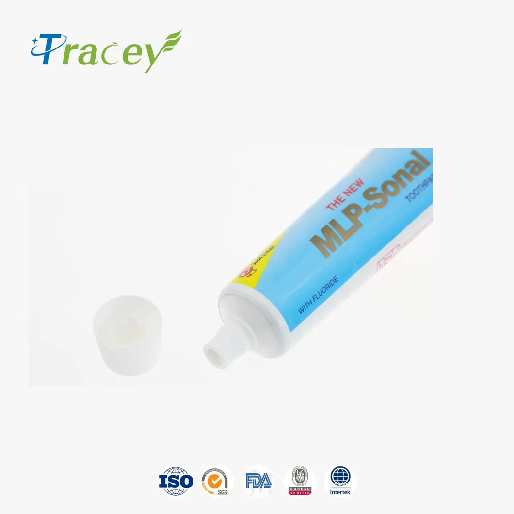 OEM Rapid Whitening Mint Aloe Cool Toothpaste Factory Supplier Whole Sale High Quality Toothpaste