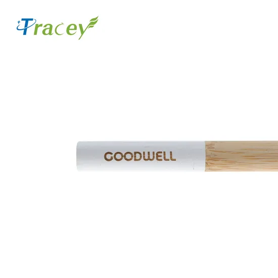 Eco Toothbrush Charcoal Bristle Organic Toothbrush Custom Engrave Logo Bamboo Toothbrush