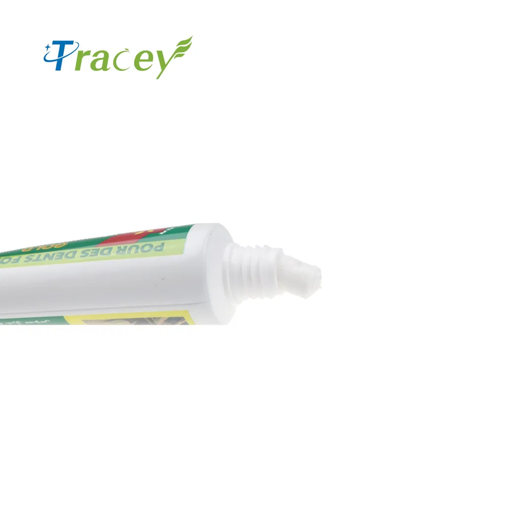 Herbal Fresh Mint Flavor Oral Care Antibacterial Ointment Medicinal Toothpaste Dental Material