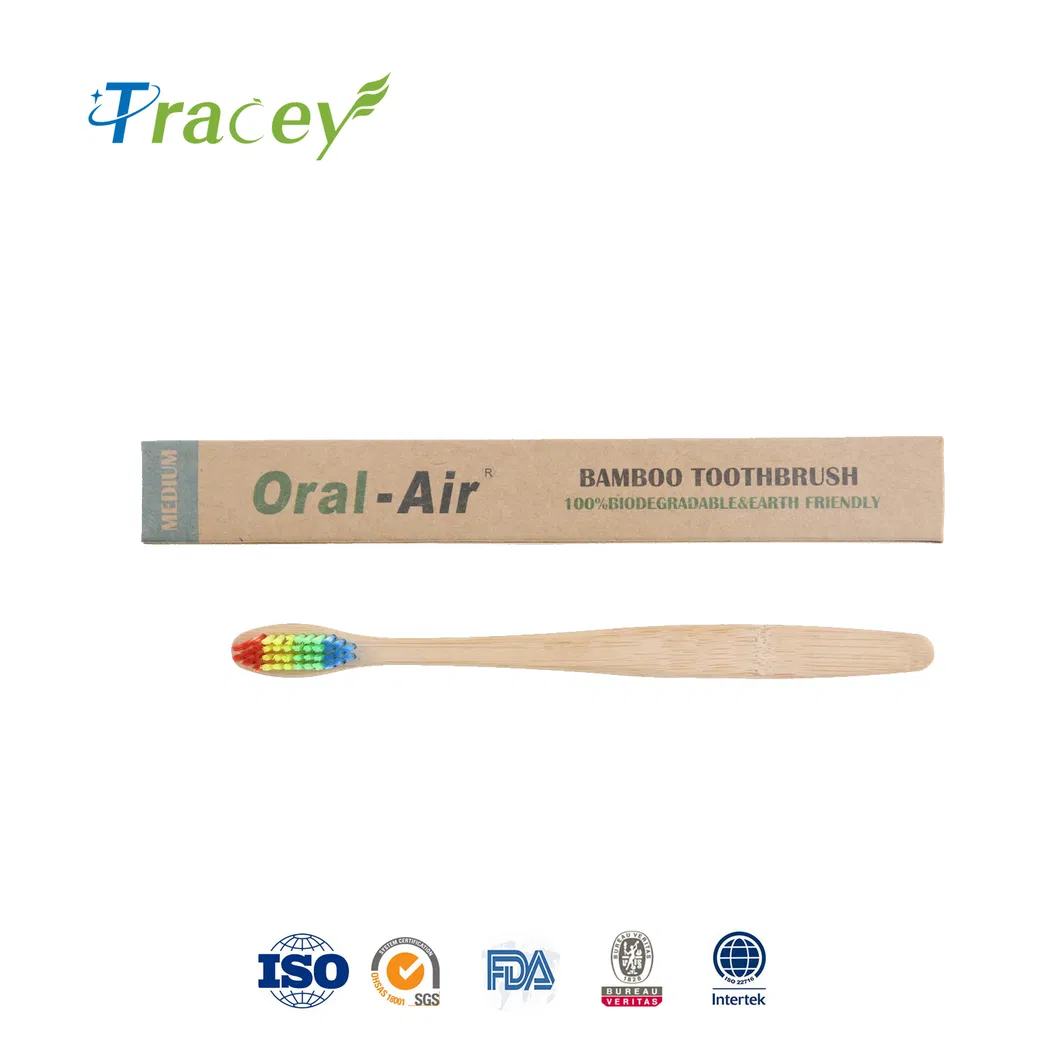 Biodegradable Rainbow Nylon 4 10 Pack 10 PCS Charcoal Bamboo Toothbrush Manufacturer